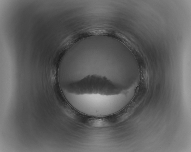 X0000111820507200908061138