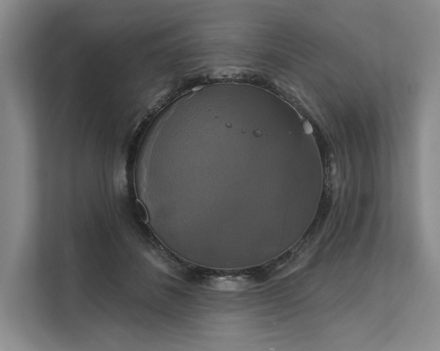 X0000111820508200908061138