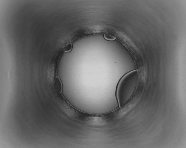 X0000111820509200908061138