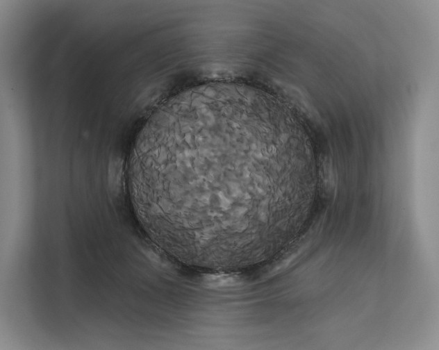 X0000111820511200908061138