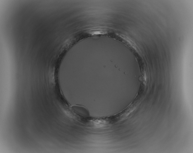 X0000111820512200908061138