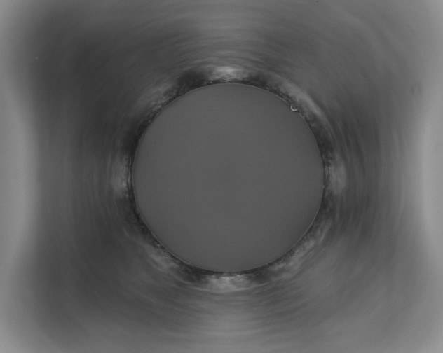 X0000111820517200908061138