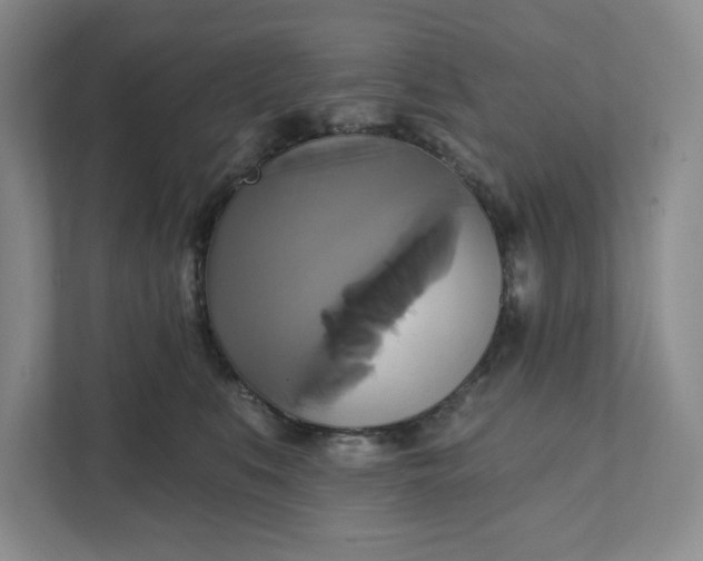 X0000111820519200908061138