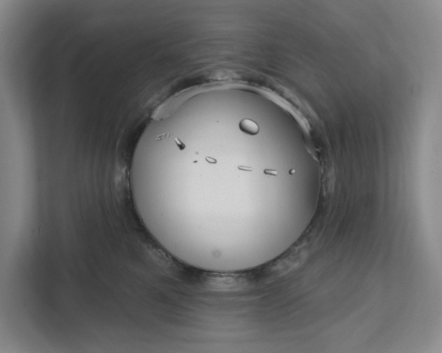 X0000111820521200908061138