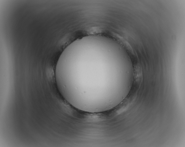 X0000111820523200908061138