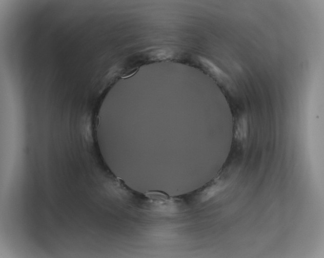 X0000111820524200908061138