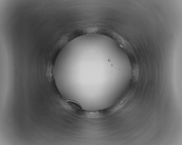 X0000111820525200908061138