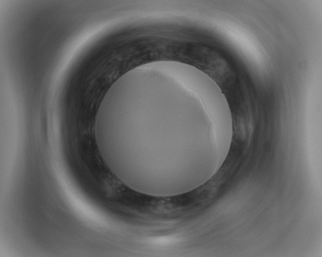 X0000111820526200908061138