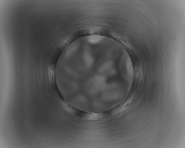 X0000111820527200908061138