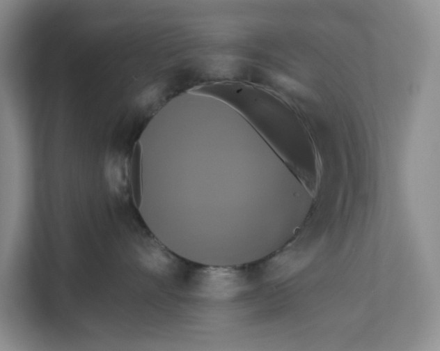 X0000111820528200908061138