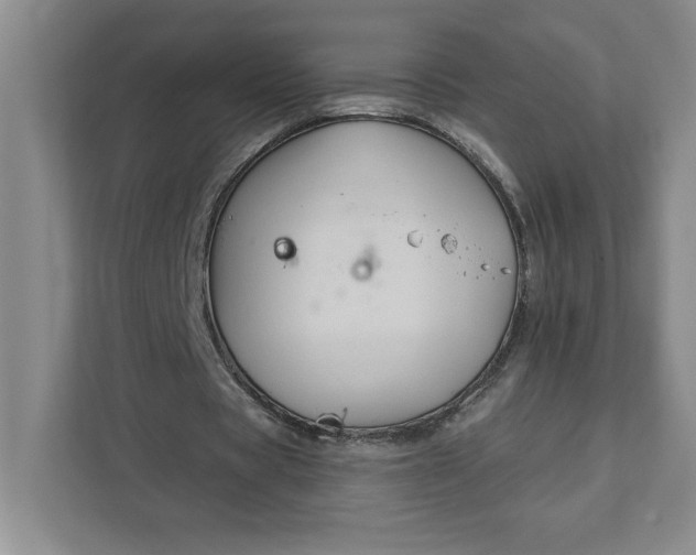 X0000111820529200908061137