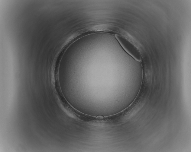 X0000111820530200908061137