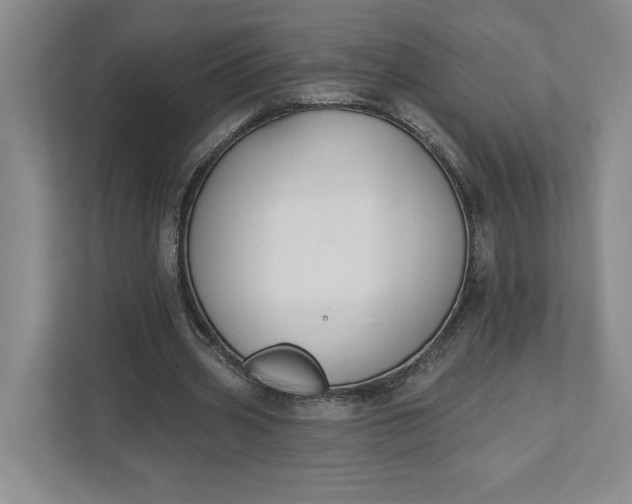 X0000111820533200908061137