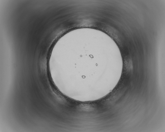 X0000111820534200908061137