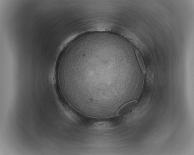 X0000111820536200908061137