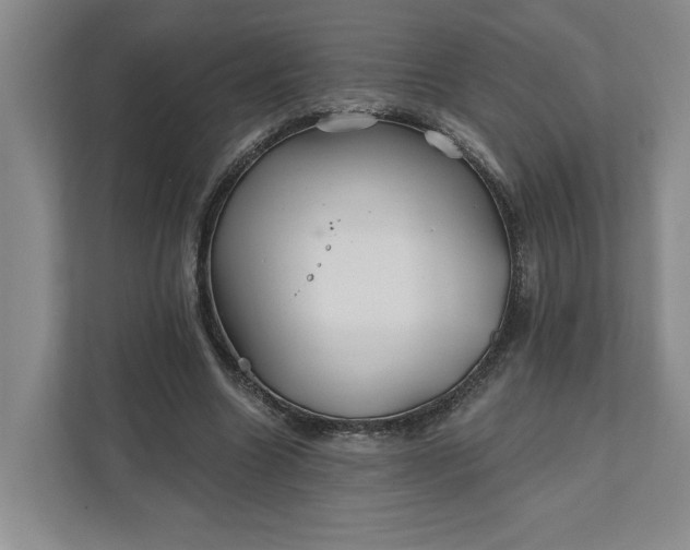 X0000111820538200908061137