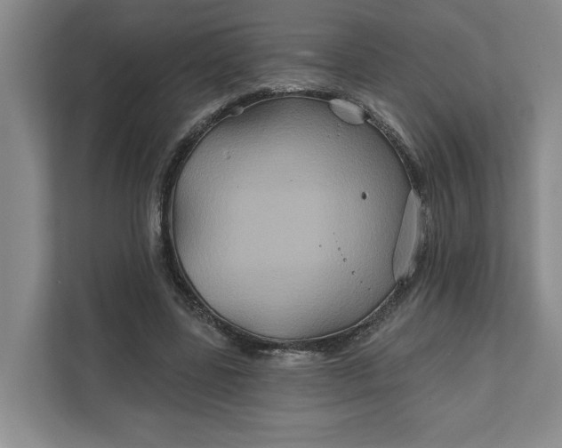 X0000111820539200908061137