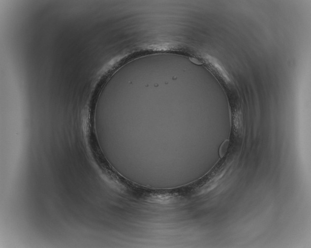 X0000111820540200908061137