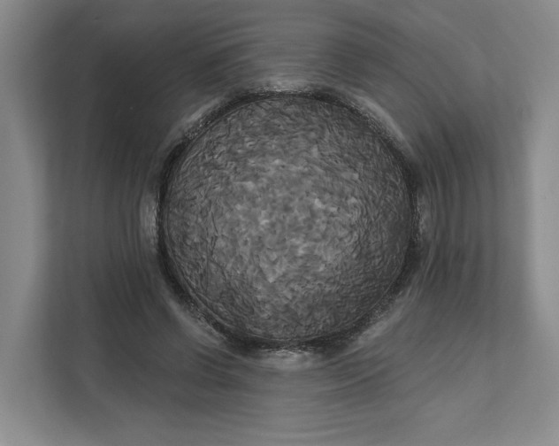 X0000111820542200908061137