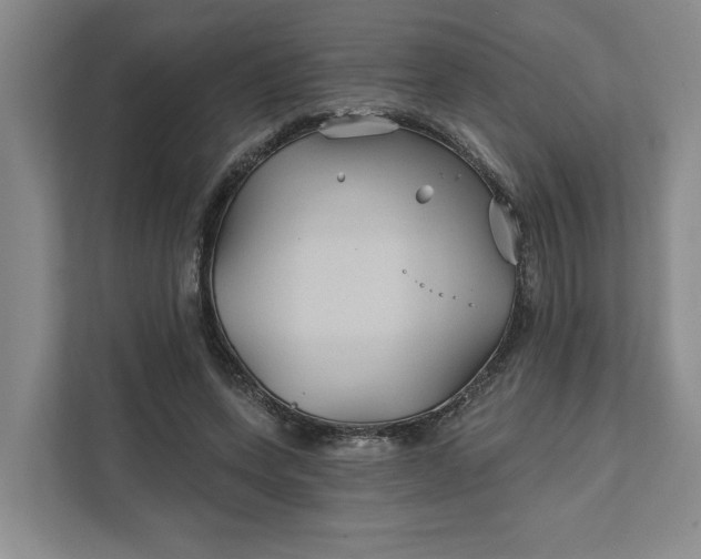 X0000111820543200908061137