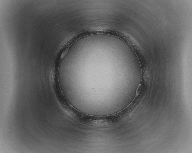 X0000111820544200908061137