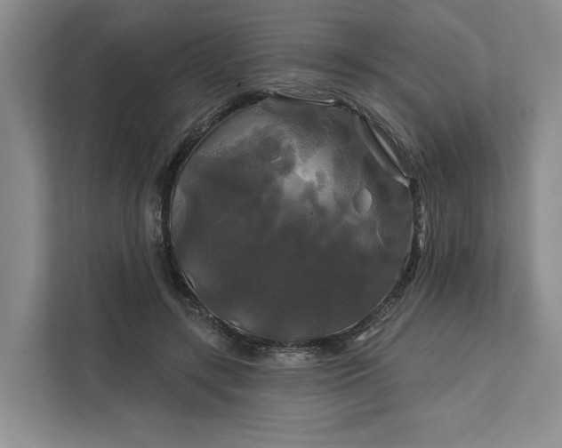 X0000111820547200908061137