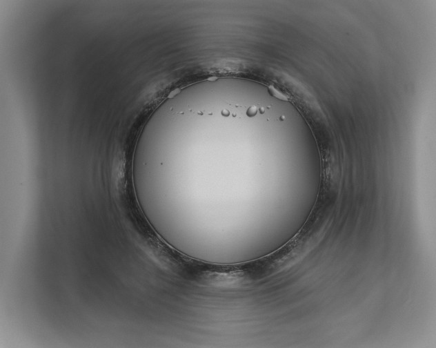 X0000111820548200908061137