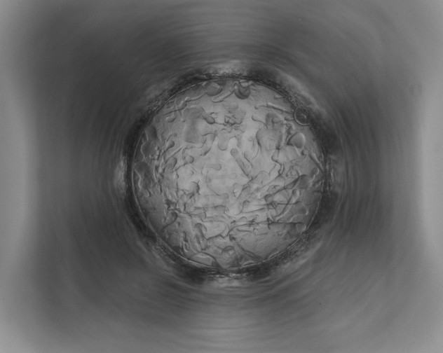 X0000111820550200908061137