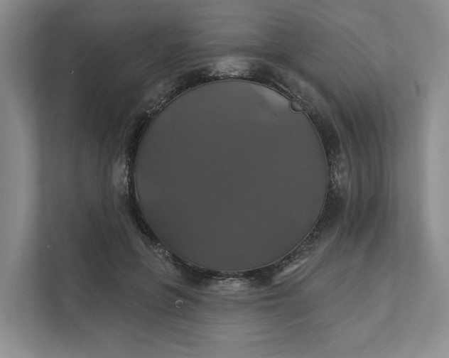 X0000111820551200908061137