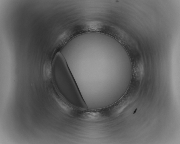 X0000111820552200908061137