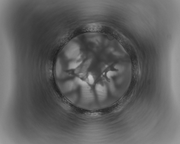 X0000111820553200908061137