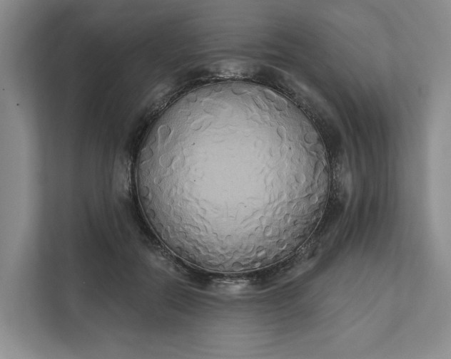 X0000111820554200908061137