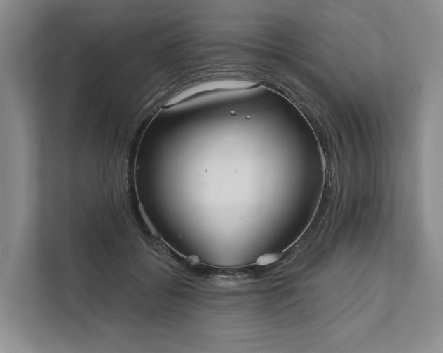 X0000111820556200908061137