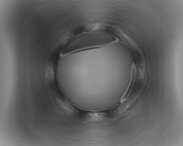 X0000111820558200908061138