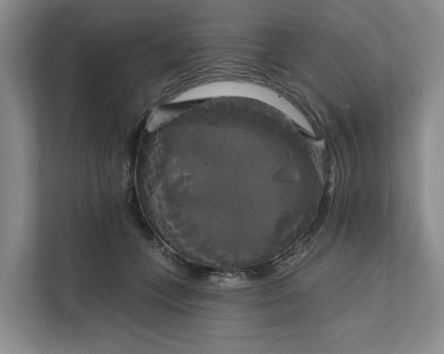 X0000111820559200908061138