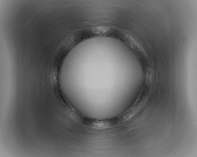 X0000111820561200908061138