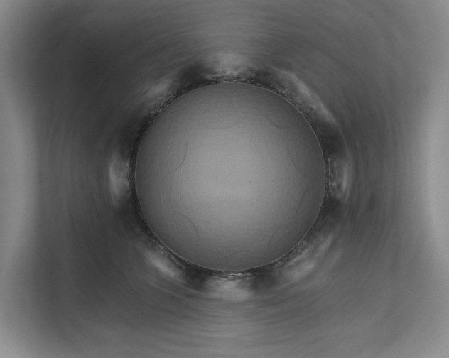 X0000111820563200908061138