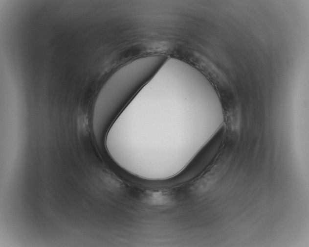 X0000111820564200908061138