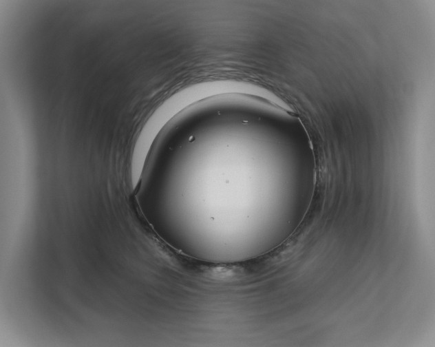 X0000111820566200908061138