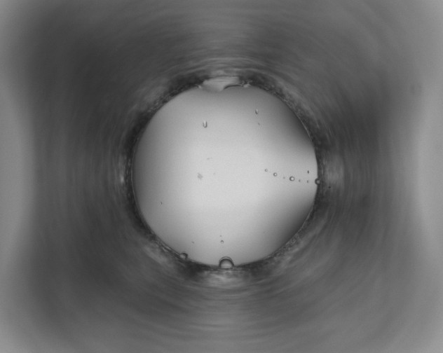 X0000111820567200908061138