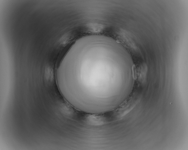 X0000111820568200908061138