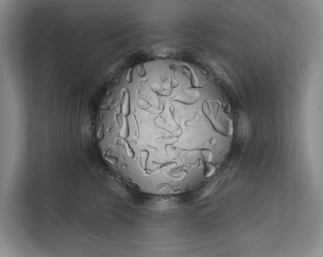 X0000111820569200908061138