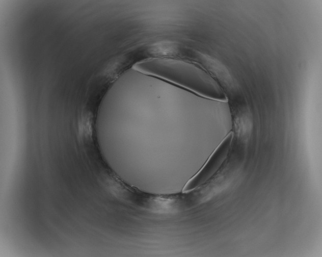 X0000111820570200908061138