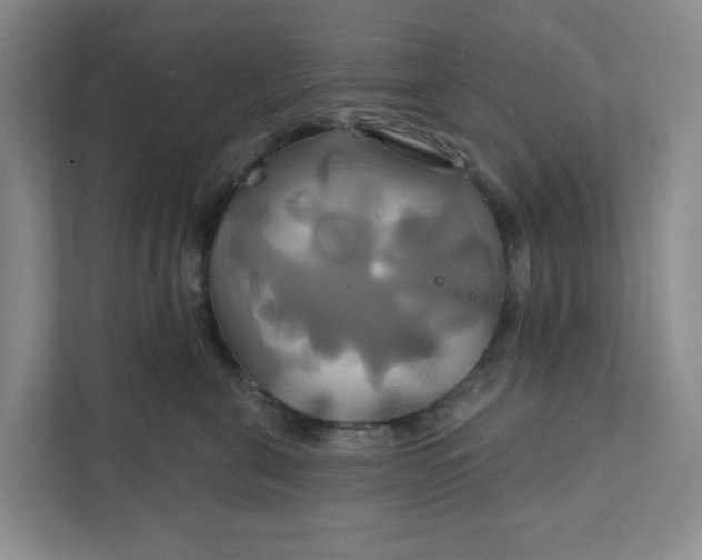 X0000111820571200908061138