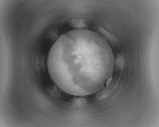 X0000111820572200908061138