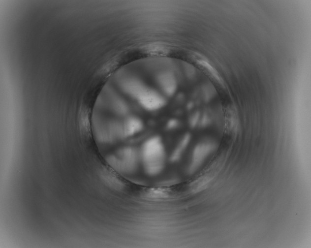 X0000111820573200908061138