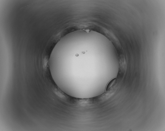 X0000111820574200908061138