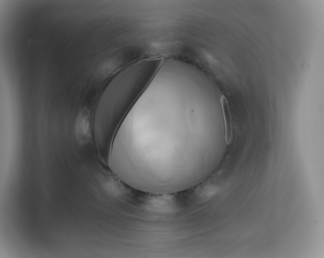 X0000111820576200908061138