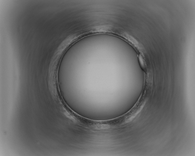 X0000111820577200908061137