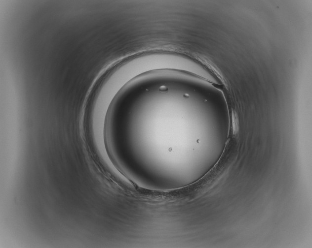 X0000111820579200908061137